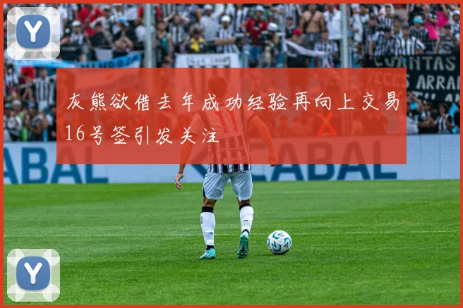 灰熊欲借去年成功经验再向上交易16号签引发关注