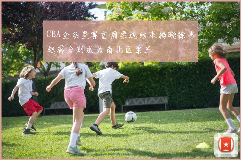CBA全明星赛首周票选结果揭晓徐杰赵睿分别成为南北区票王