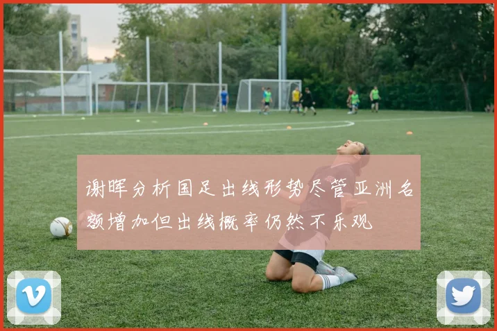 谢晖分析国足出线形势尽管亚洲名额增加但出线概率仍然不乐观